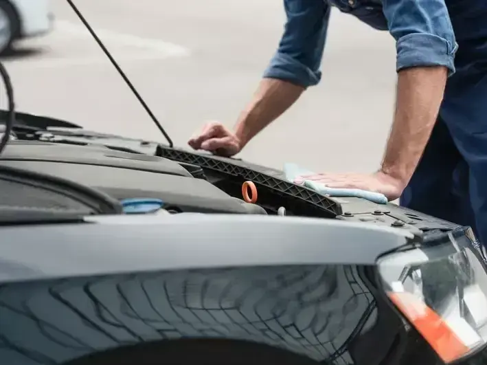 Window Tinting Services