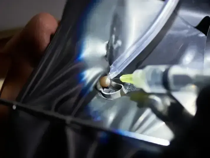 same day windshield replacement for Mercer Island commuter vehicle near I-90 route